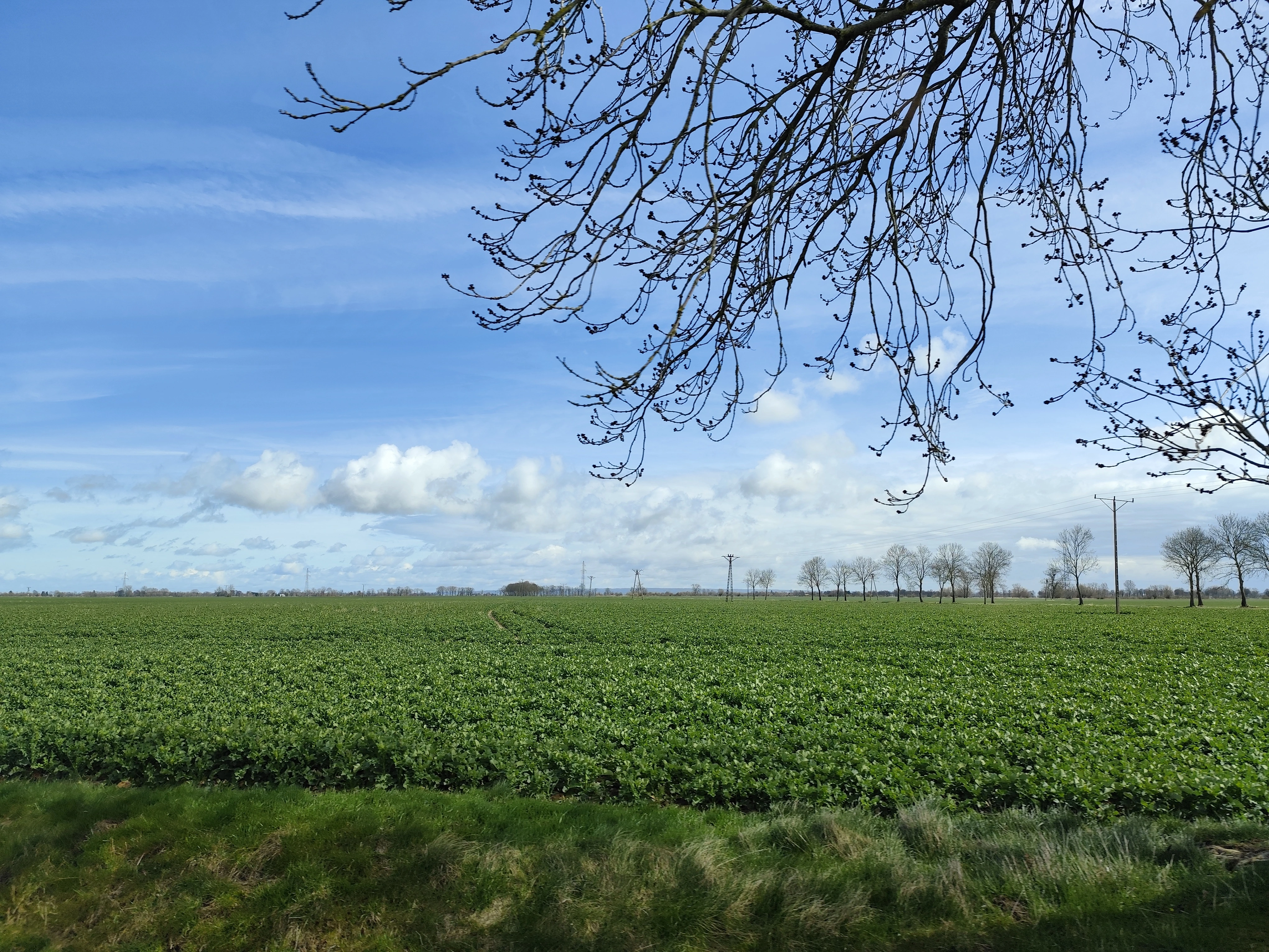 Przestronny Rodzinny Pokój