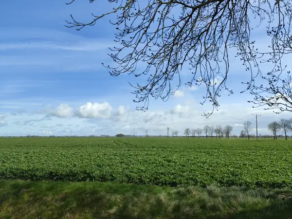 Przestronny Rodzinny Pokój - Image 1